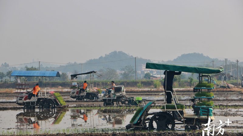 河南粮食烘干机安装规范：确保高效、安全的关键步骤**